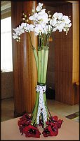 www.floristic.ru - .    - 7-9 