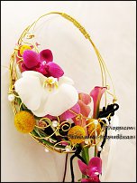 www.floristic.ru - .  .