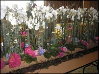 www.floristic.ru - .    - 7-9 