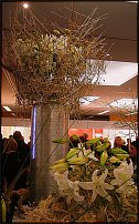 www.floristic.ru - . Gregor Lersch