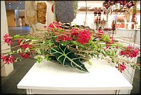 www.floristic.ru - . Gregor Lersch