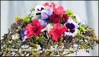 www.floristic.ru - . Gregor Lersch