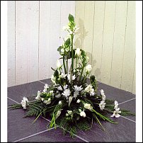 www.floristic.ru - .  