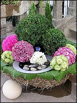 www.floristic.ru - .       - ?