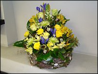 www.floristic.ru - . ,  .