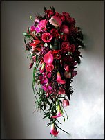 www.floristic.ru - .  .