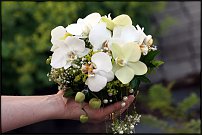 www.floristic.ru - .  .