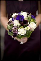 www.floristic.ru - .  .