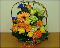 www.floristic.ru - . ,  .