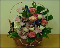 www.floristic.ru - . ,  .