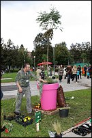 www.floristic.ru - . 16-     27-30.09.2007 . ().