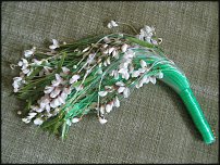 www.floristic.ru - .  .