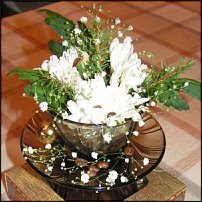 www.floristic.ru - . -