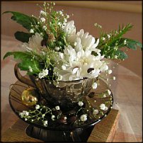 www.floristic.ru - . -