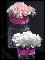 www.floristic.ru - . 