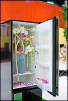 www.floristic.ru - . 16-     27-30.09.2007 . ().