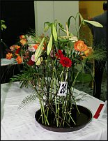 www.floristic.ru - . 16-     27-30.09.2007 . ().