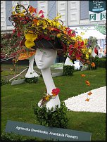 www.floristic.ru - . CHELSEA FLOWER SHOW, United Kingdom