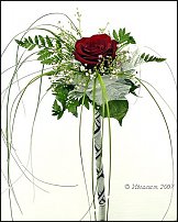 www.floristic.ru - . -