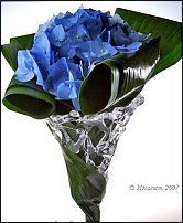 www.floristic.ru - . -