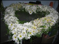 www.floristic.ru - .  