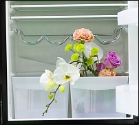 www.floristic.ru - . 16-     27-30.09.2007 . ().