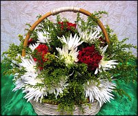 www.floristic.ru - . ,  .