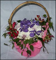 www.floristic.ru - . ,  .