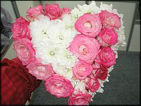 www.floristic.ru - .  