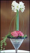 www.floristic.ru - .     .