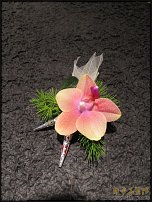 www.floristic.ru - .     .