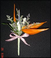 www.floristic.ru - .     .