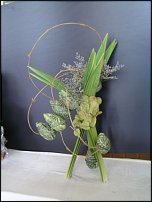 www.floristic.ru - .     .