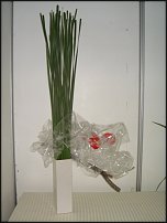 www.floristic.ru - .     .