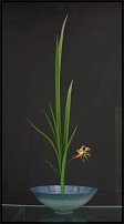 www.floristic.ru - .     .
