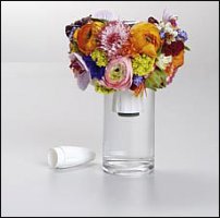 www.floristic.ru - . Step-by-step