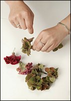 www.floristic.ru - . Step-by-step