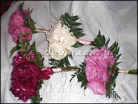 www.floristic.ru - . 