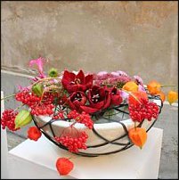 www.floristic.ru - . Rob Plattel