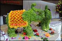 www.floristic.ru - Флористика. Помогите!!!!!