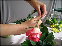 www.floristic.ru - . Step-by-step