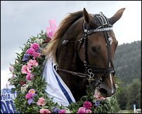www.floristic.ru - Флористика. Венок для лошади
