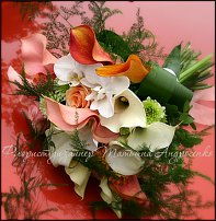 www.floristic.ru - .  