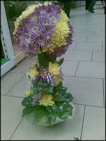 www.floristic.ru - .  - 