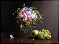 www.floristic.ru - . 