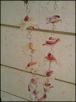 www.floristic.ru - . 