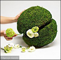 www.floristic.ru - . Step-by-step