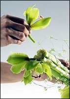 www.floristic.ru - . Step-by-step