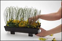 www.floristic.ru - . Step-by-step