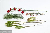 www.floristic.ru - . Step-by-step